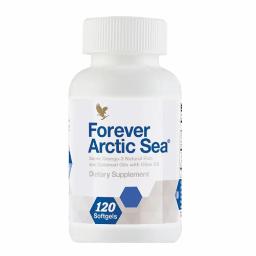 forever_arctic_sea__pd_category_256_X_256_1730144839241 (1)